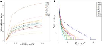 Effects of saponins Rb1 and Re in American ginseng intervention on intestinal microbiota of aging model